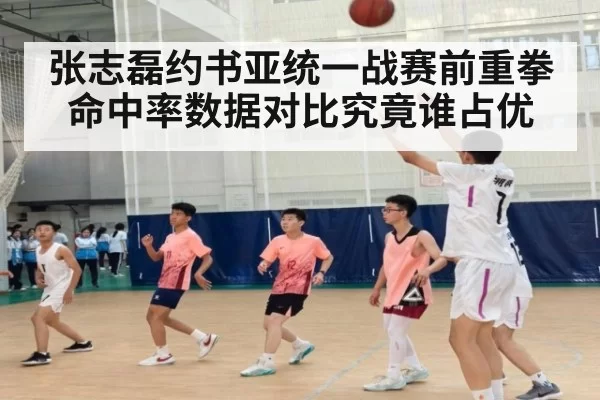 张志磊约书亚统一战赛前重拳命中率数据对比究竟谁占优