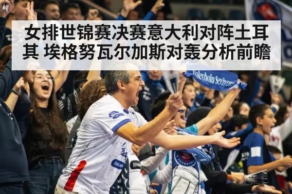 volleyball stadium crowd